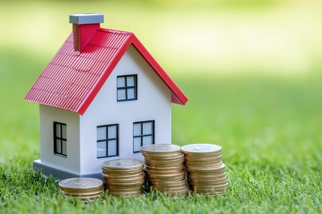 real estate agent