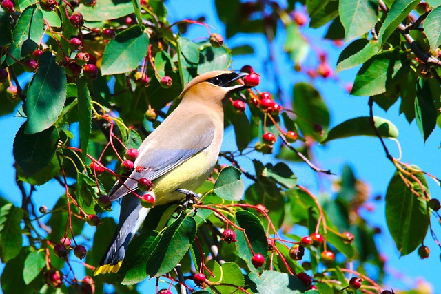 Recover My Data Cedar Park TX