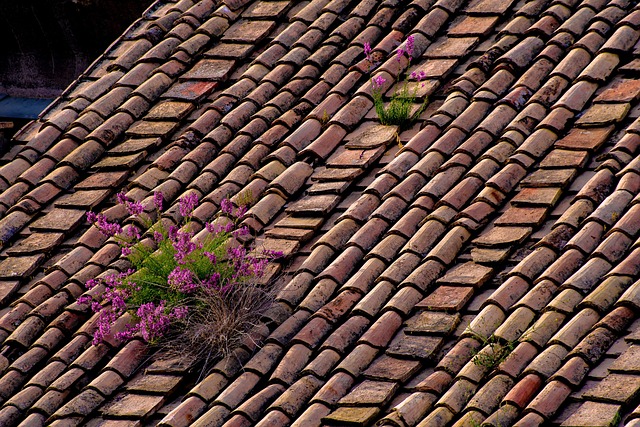 Roofing Company Austin