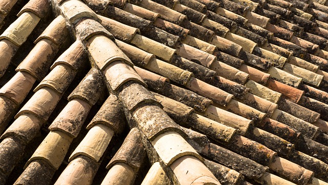 Roofing Company Austin