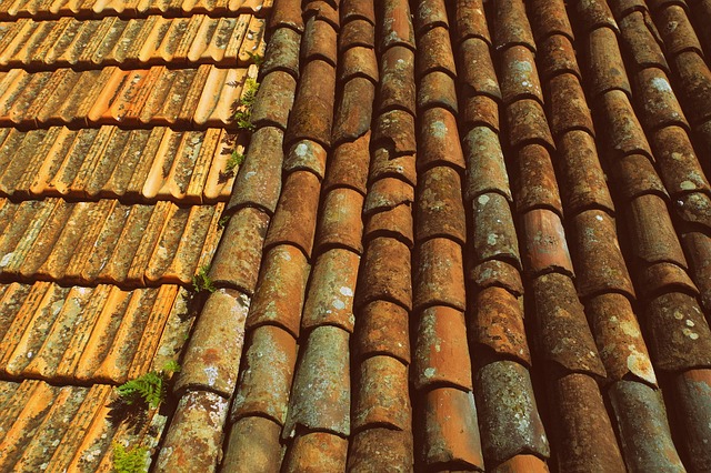 Roofing Company Austin