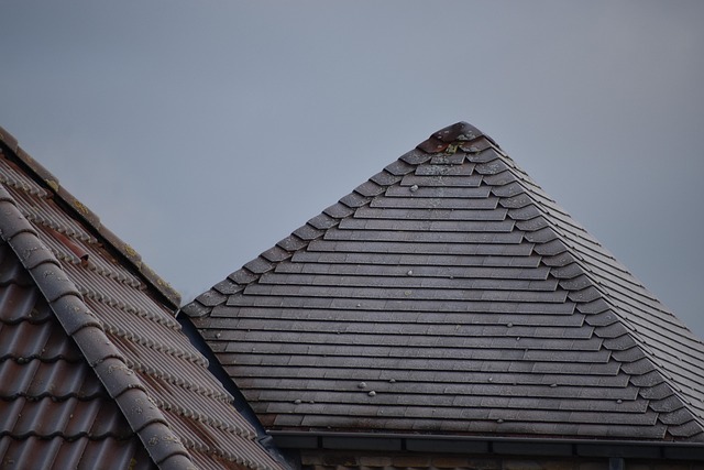 Roofing Company Austin