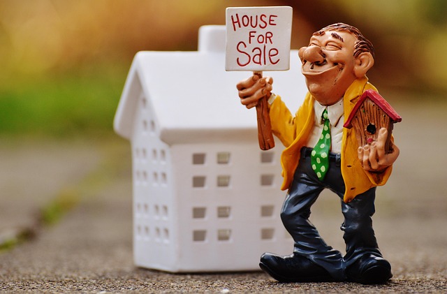 San Marcos Real Estate Agent
