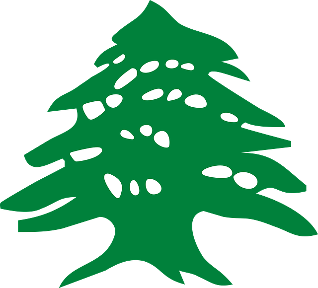 slow-pc-cedar-park-640x480-25049841.png