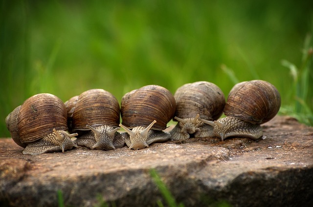 slow-pc-cedar-park-640x480-25691405.jpeg