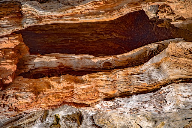 slow-pc-cedar-park-640x480-49437753.jpeg